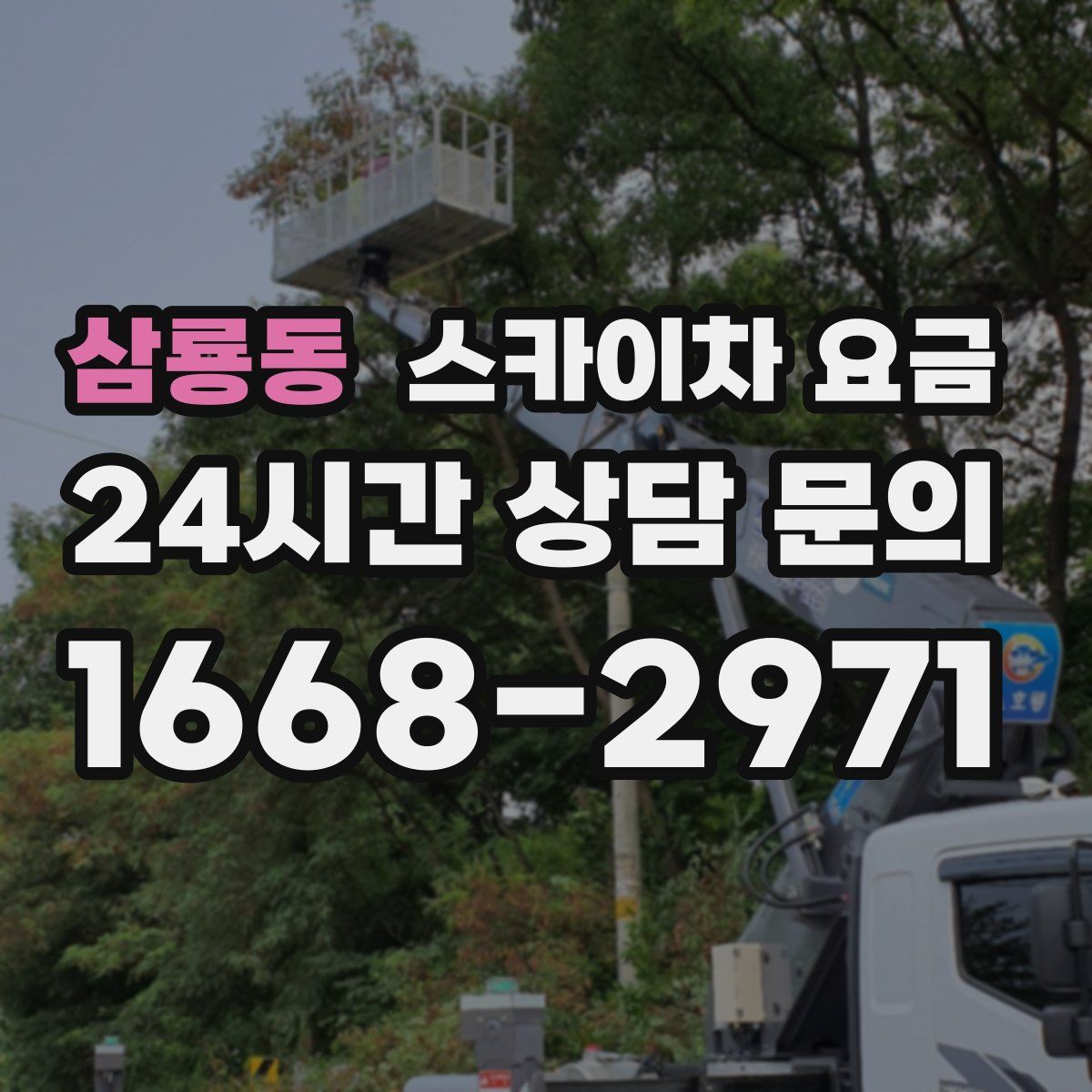 삼룡동 스카이차 요금