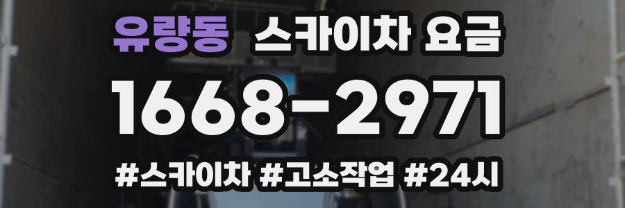 유량동 스카이차 요금