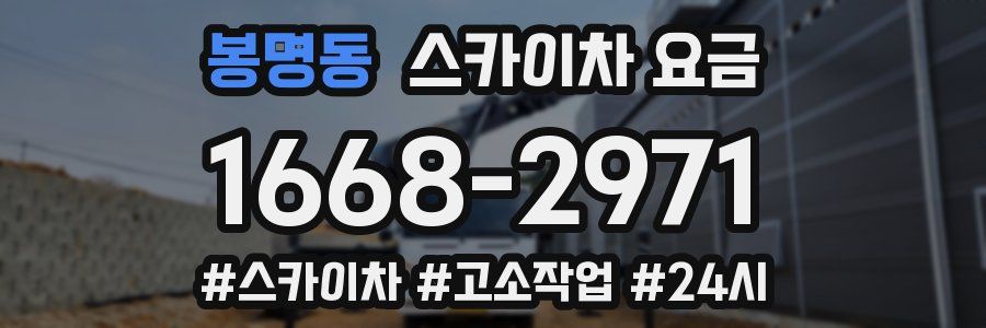 봉명동 스카이차 요금