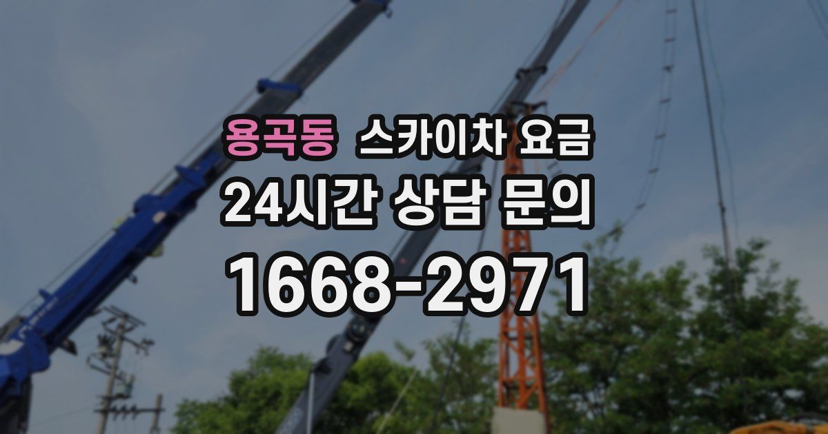 용곡동 스카이차 요금