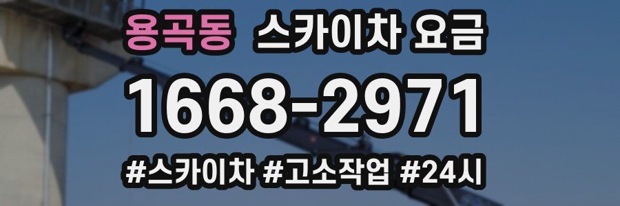 용곡동 스카이차 요금