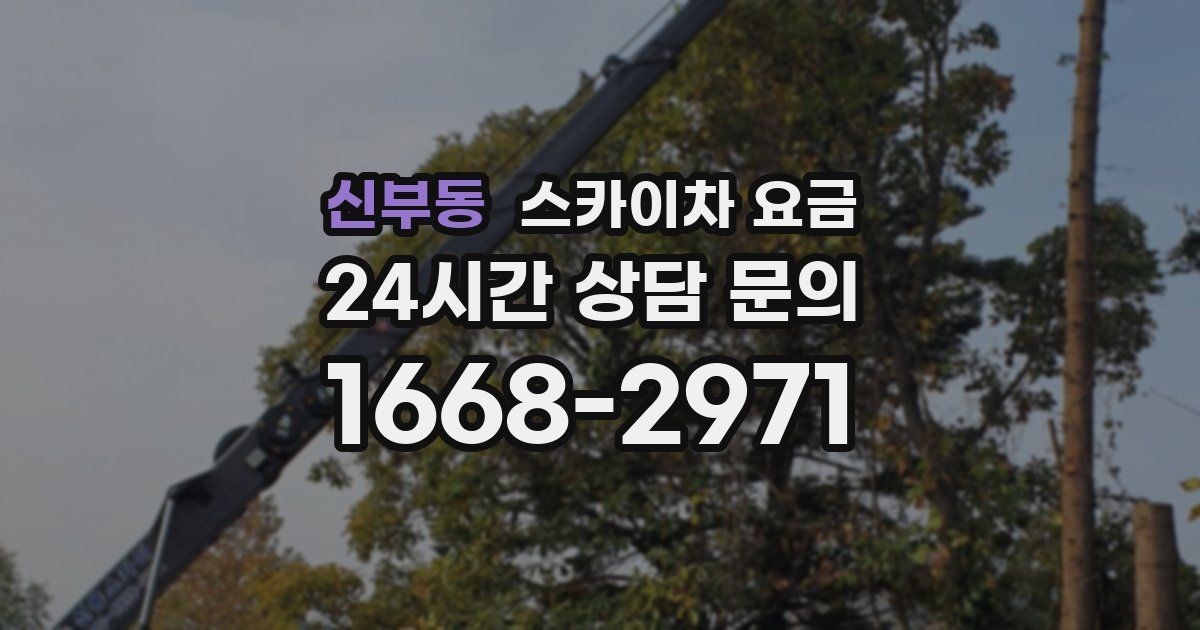신부동 스카이차 요금