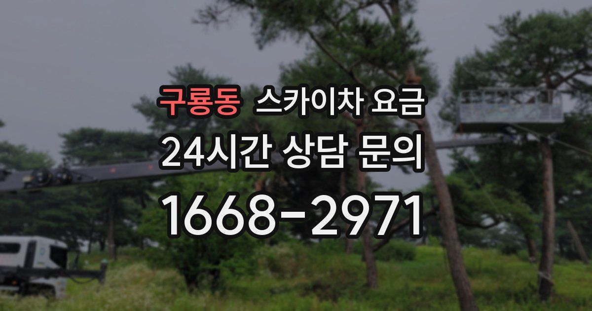 구룡동 스카이차 요금