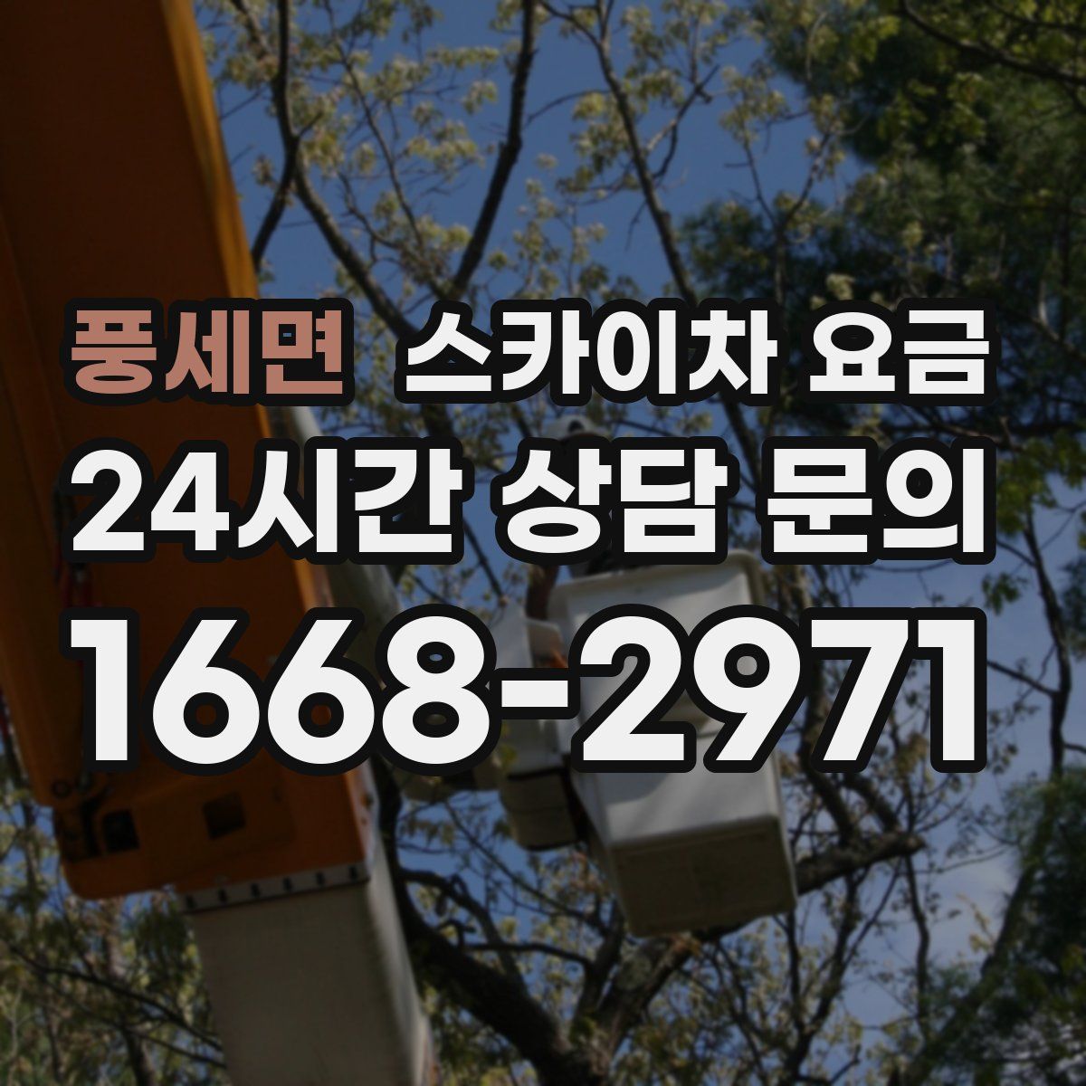 풍세면 스카이차 요금