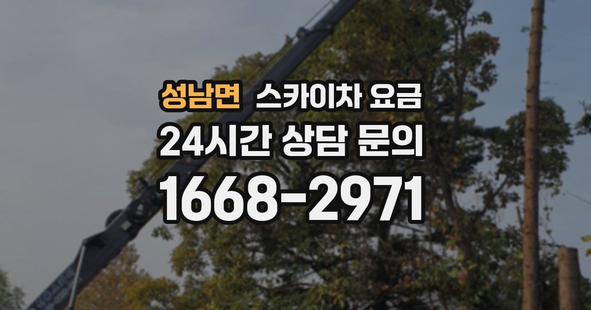 성남면 스카이차 요금