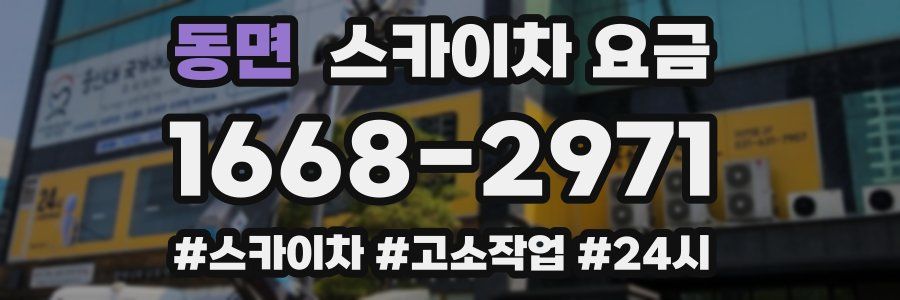 동면 스카이차 요금