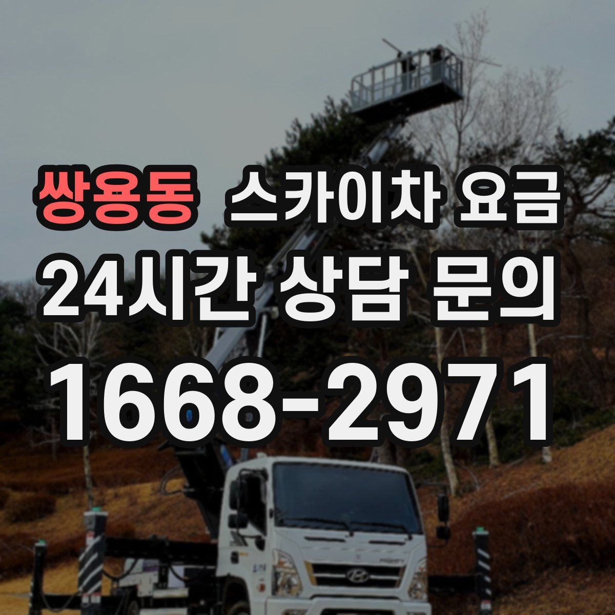 쌍용동 스카이차 요금