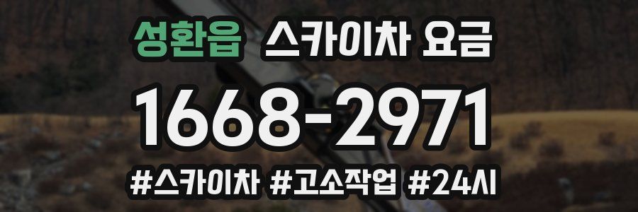 성환읍 스카이차 요금