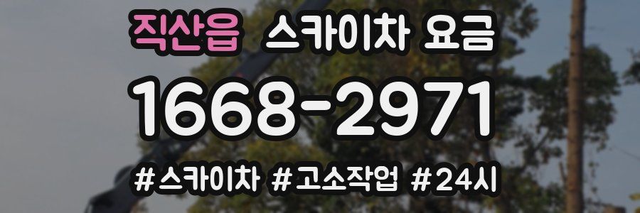 직산읍 스카이차 요금