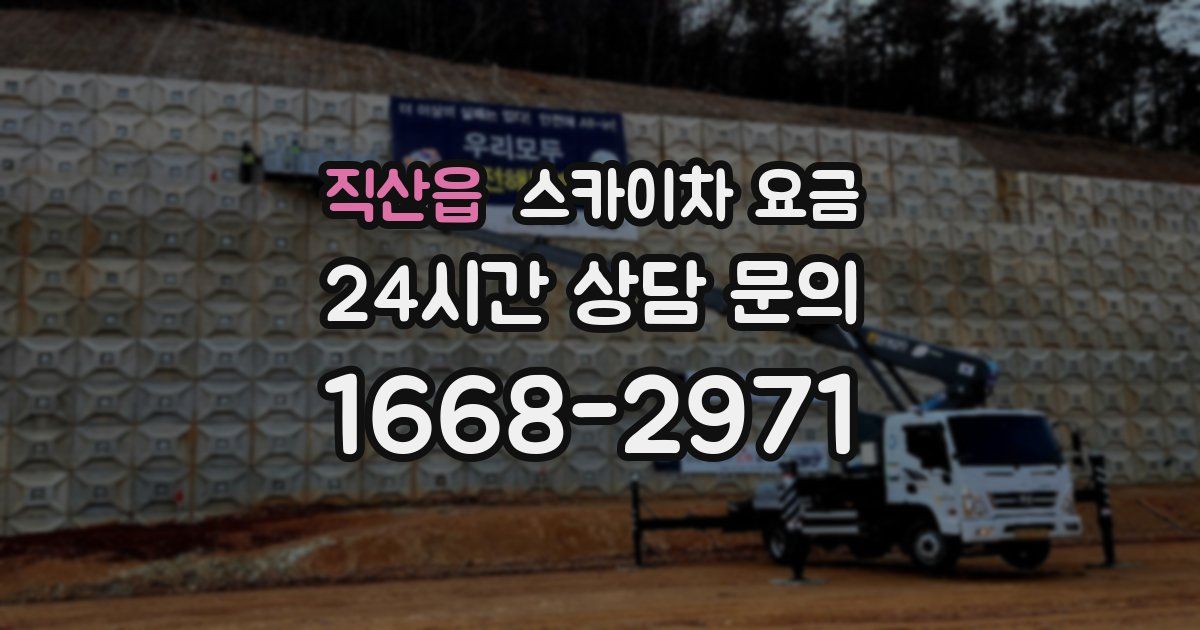 직산읍 스카이차 요금