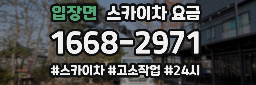 입장면 스카이차 요금