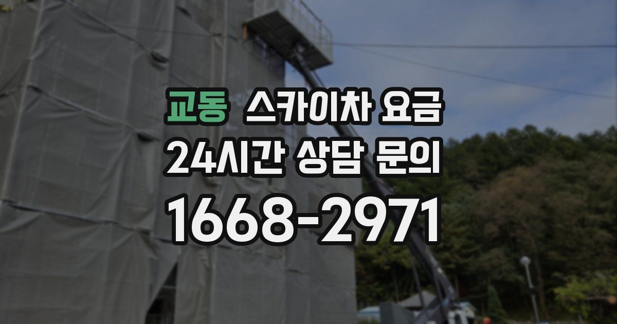 교동 스카이차 요금