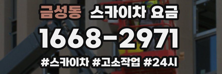 금성동 스카이차 요금