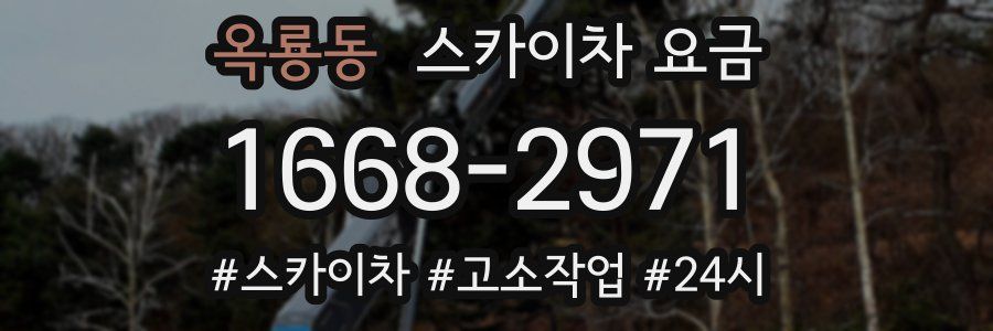 옥룡동 스카이차 요금