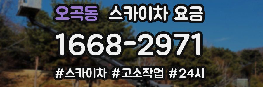 오곡동 스카이차 요금