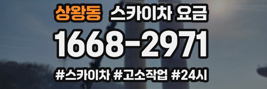 상왕동 스카이차 요금