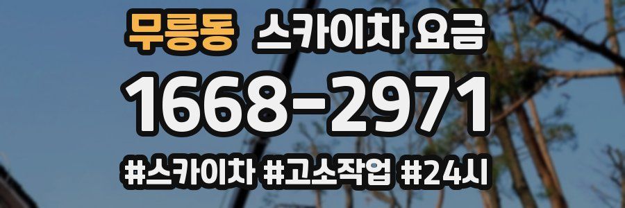 무릉동 스카이차 요금
