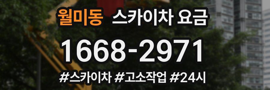 월미동 스카이차 요금