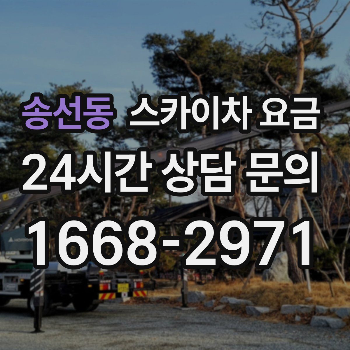 송선동 스카이차 요금