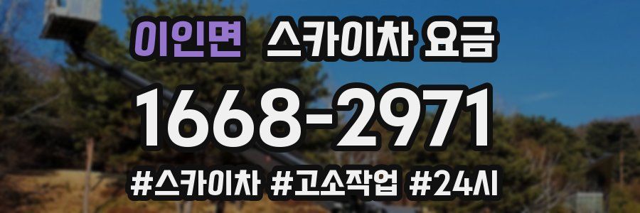 이인면 스카이차 요금