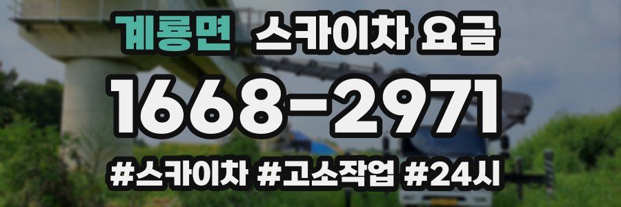 계룡면 스카이차 요금