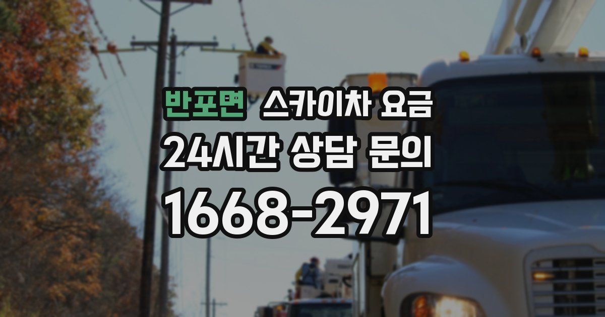 반포면 스카이차 요금