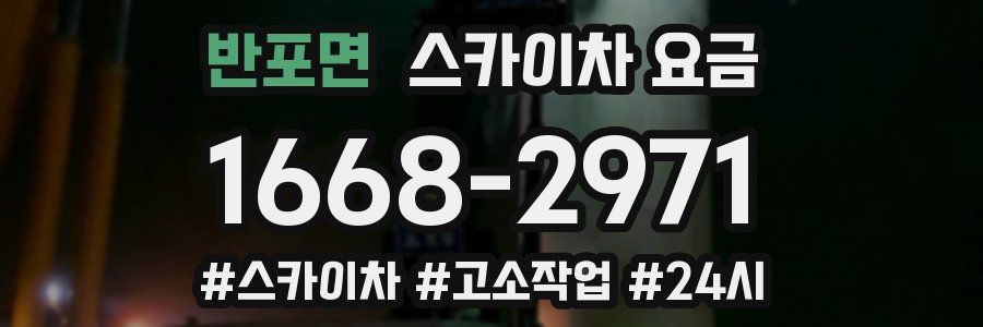 반포면 스카이차 요금