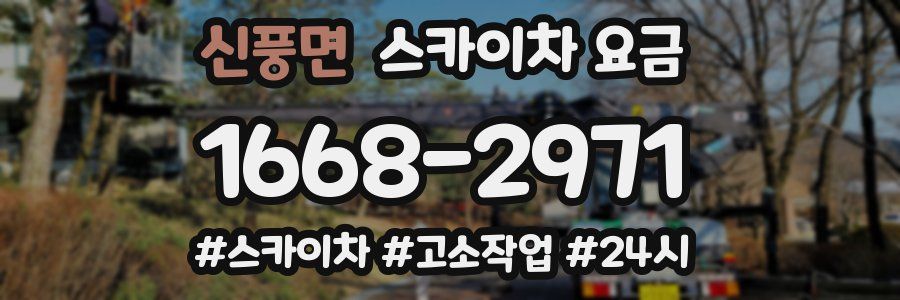 신풍면 스카이차 요금