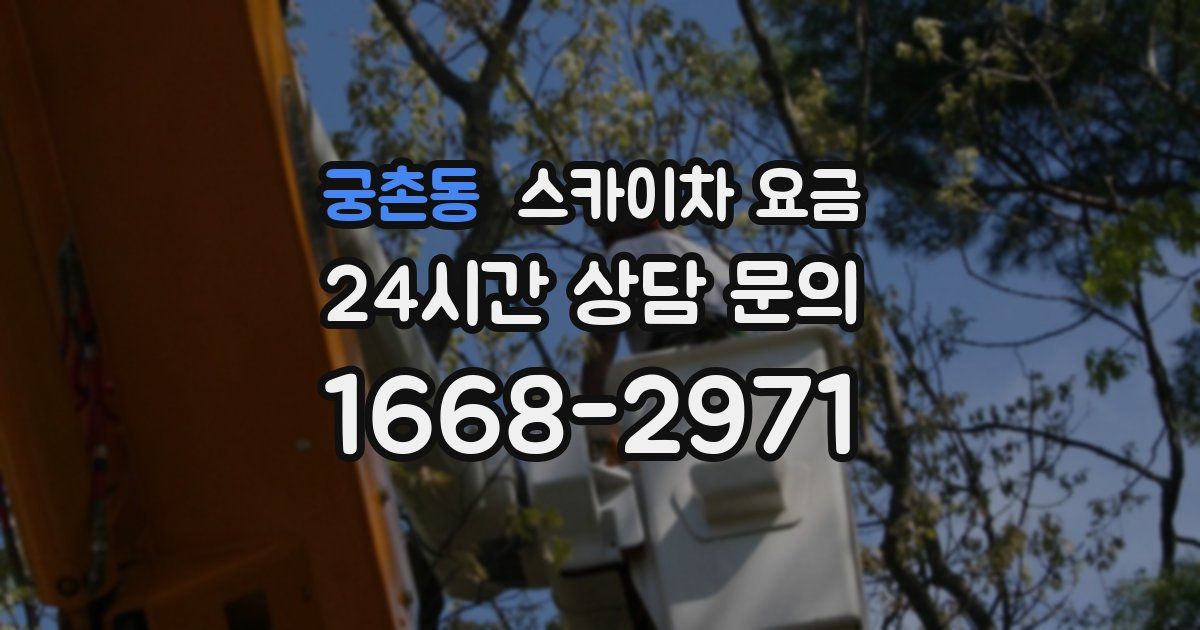 궁촌동 스카이차 요금