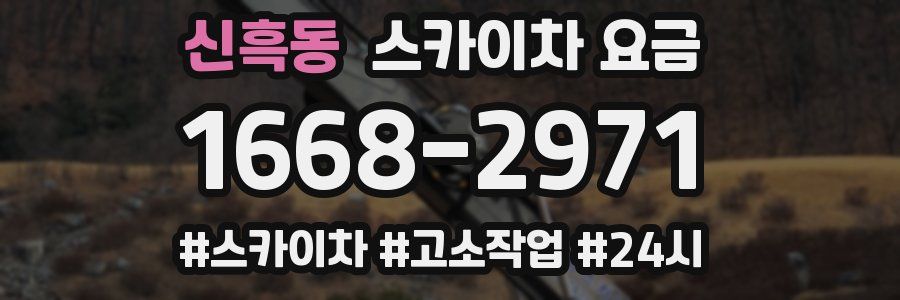 신흑동 스카이차 요금