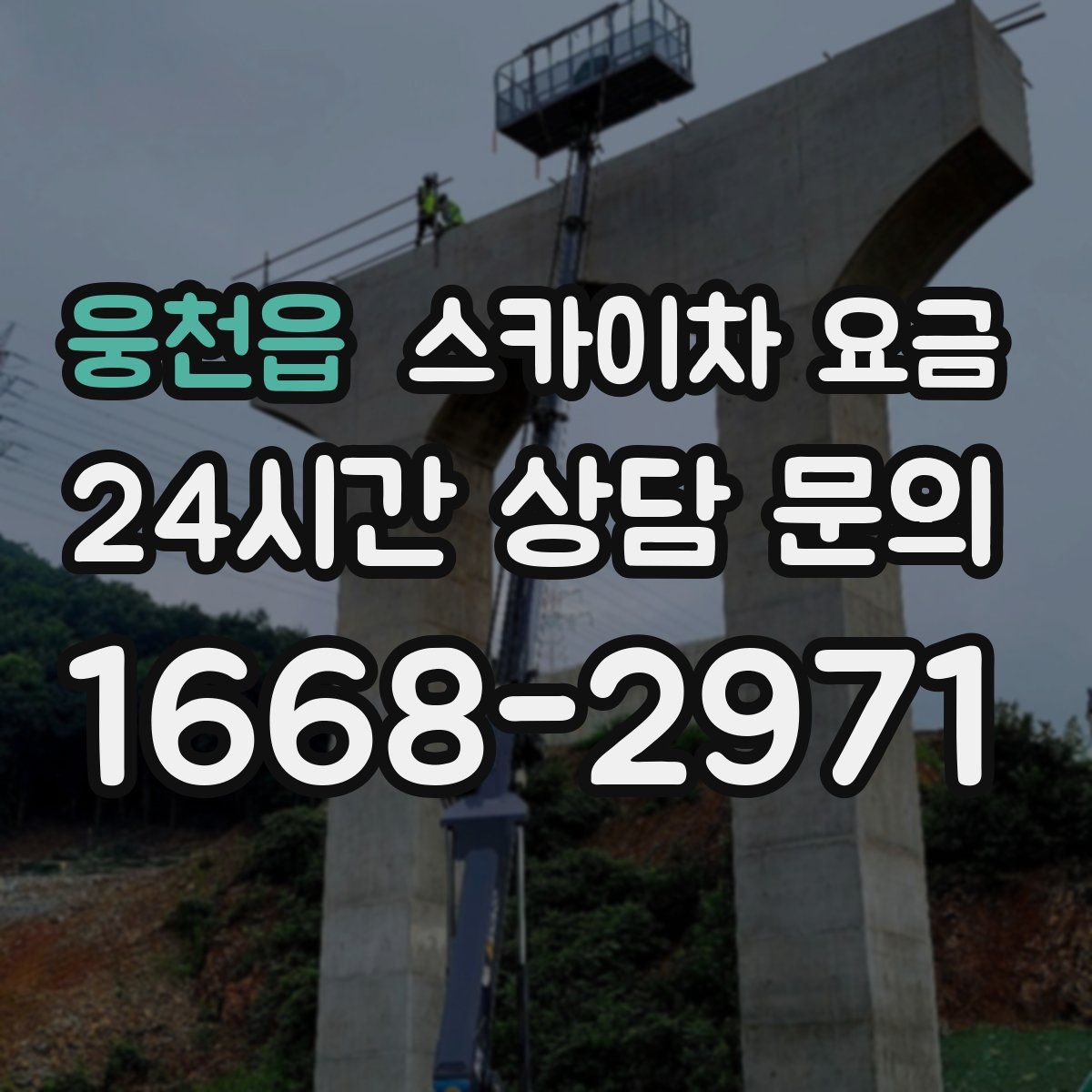 웅천읍 스카이차 요금