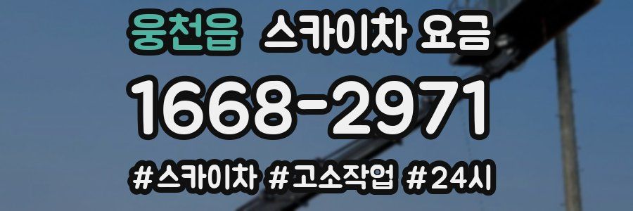 웅천읍 스카이차 요금