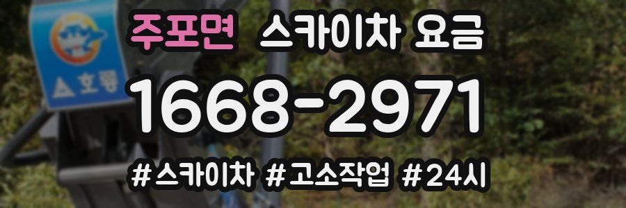 주포면 스카이차 요금