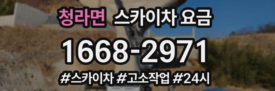 청라면 스카이차 요금