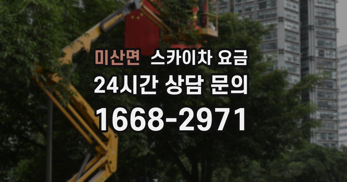 미산면 스카이차 요금