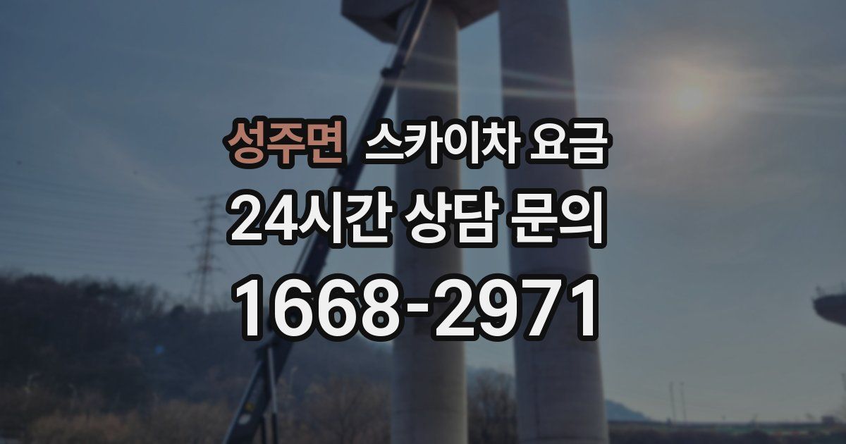 성주면 스카이차 요금