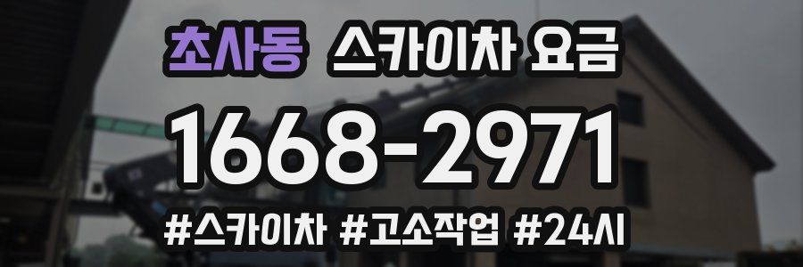 초사동 스카이차 요금