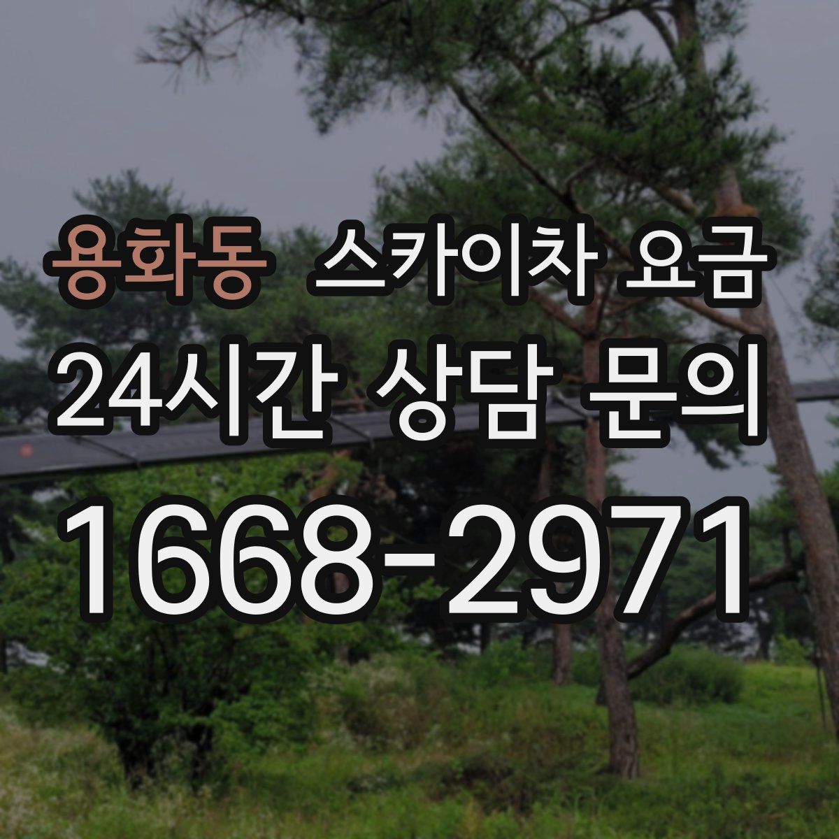 용화동 스카이차 요금