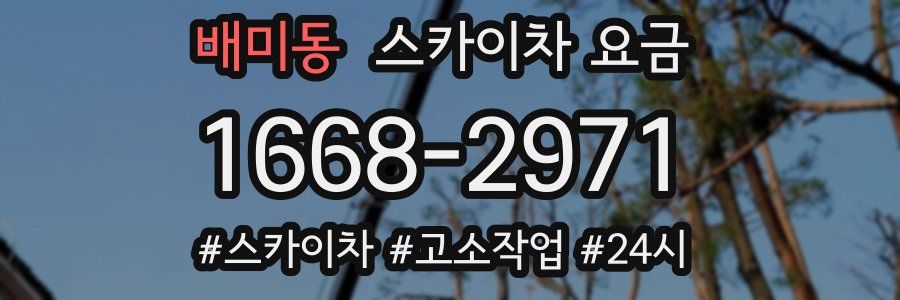 배미동 스카이차 요금