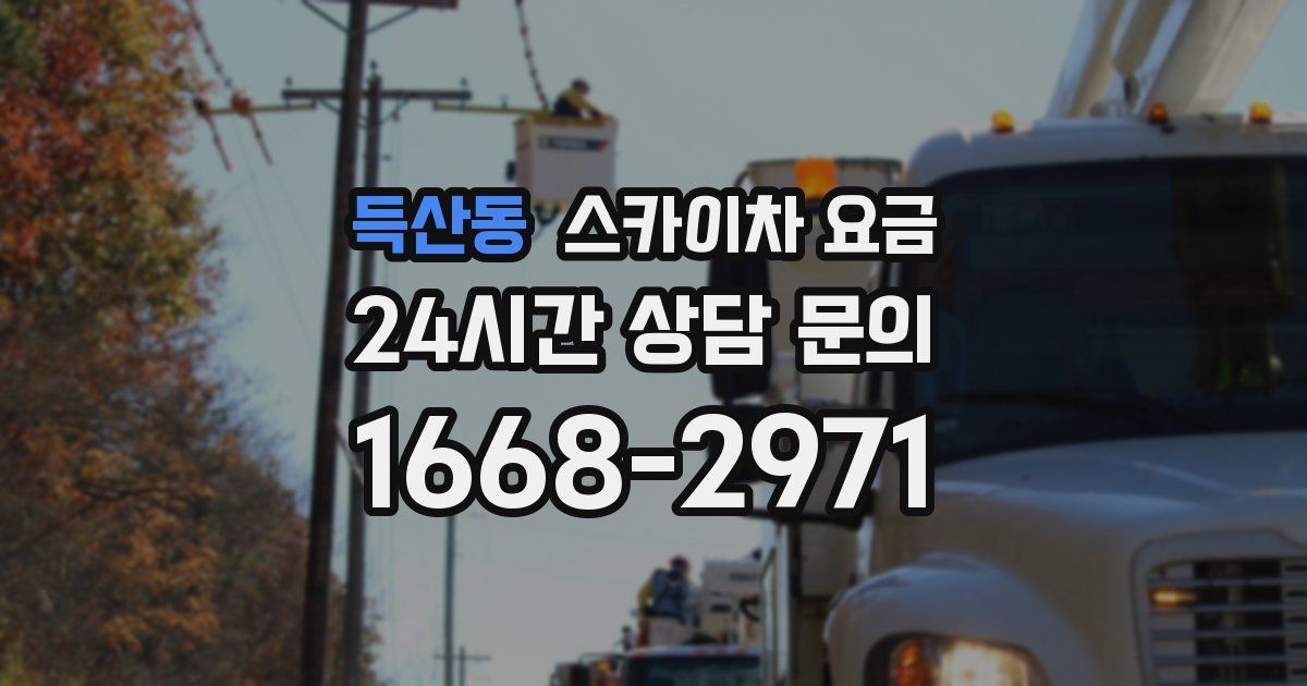 득산동 스카이차 요금
