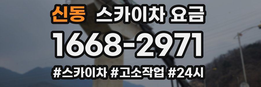 신동 스카이차 요금