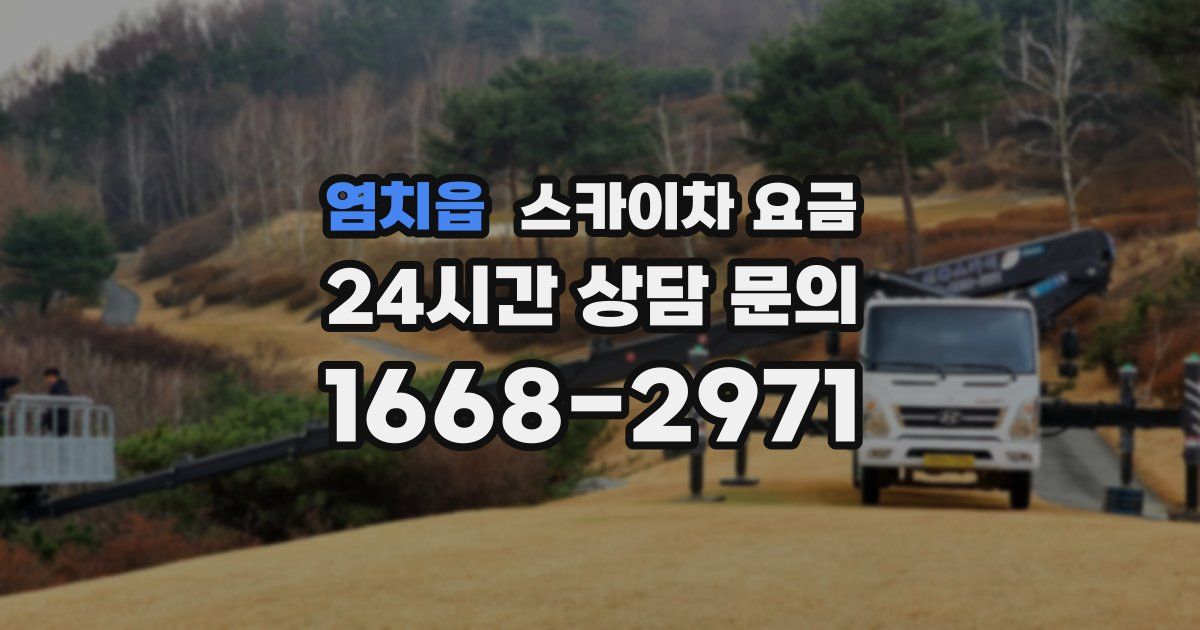 염치읍 스카이차 요금