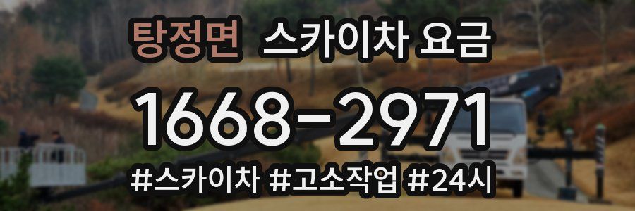 탕정면 스카이차 요금