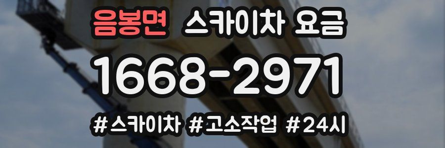음봉면 스카이차 요금