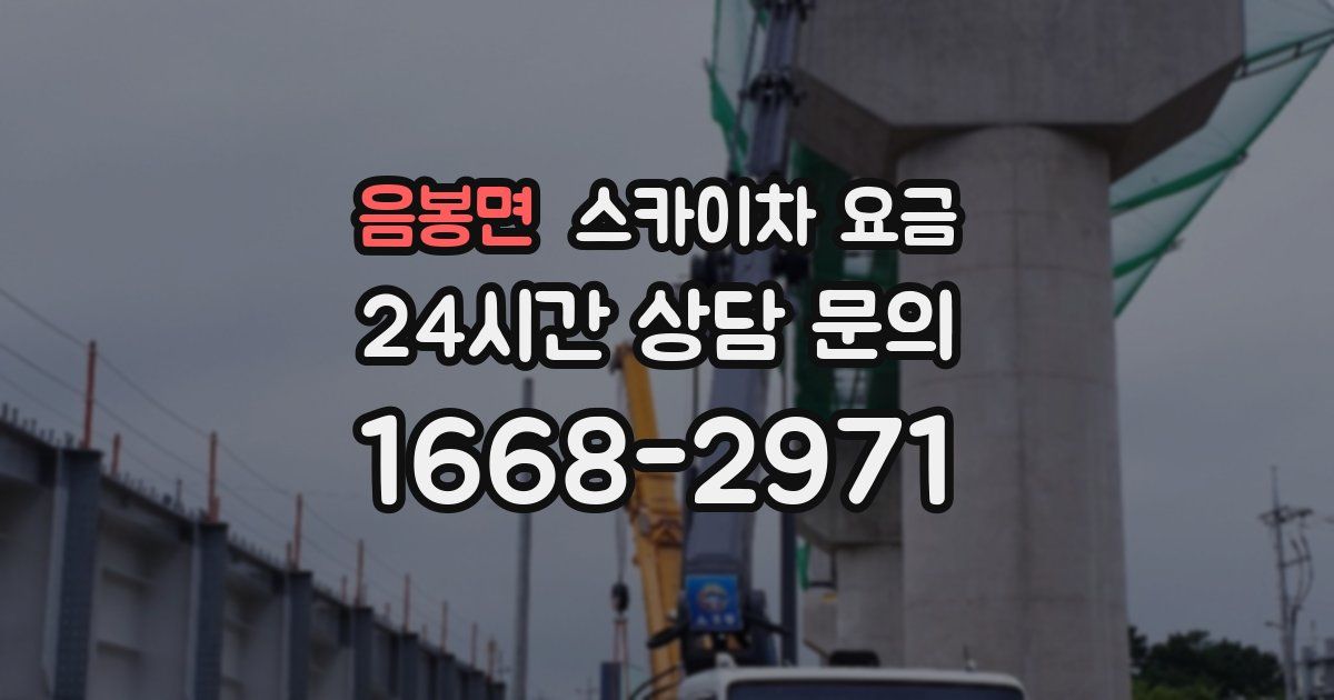 음봉면 스카이차 요금