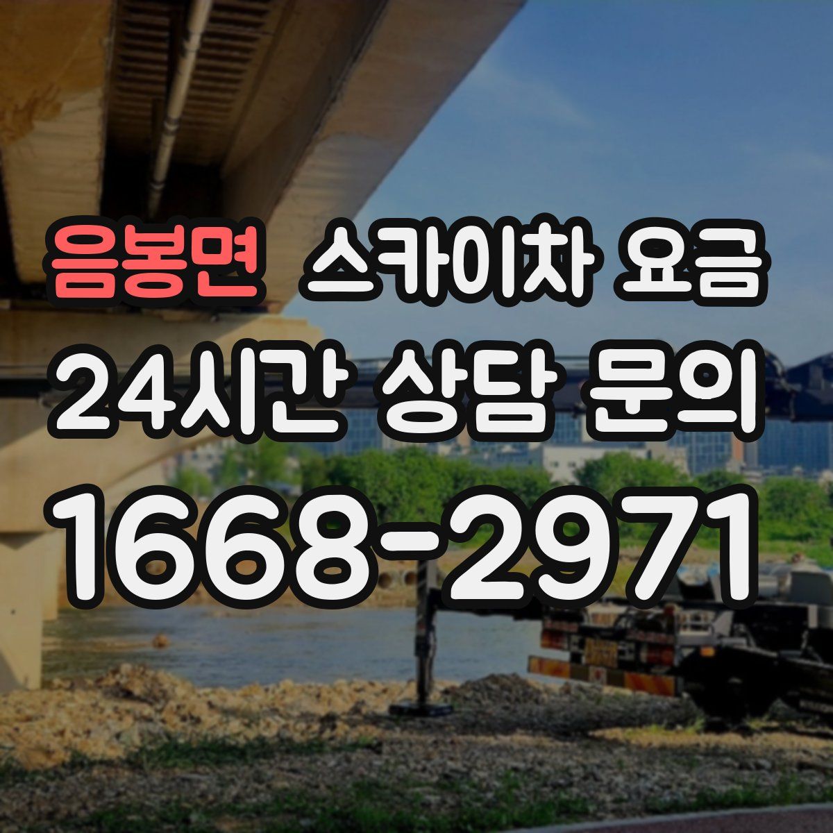 음봉면 스카이차 요금