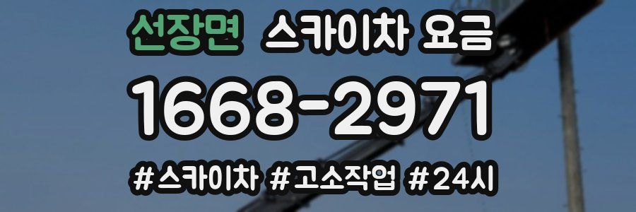 선장면 스카이차 요금
