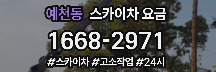 예천동 스카이차 요금