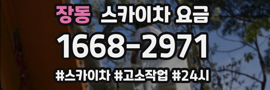 장동 스카이차 요금