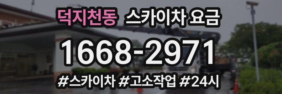 덕지천동 스카이차 요금